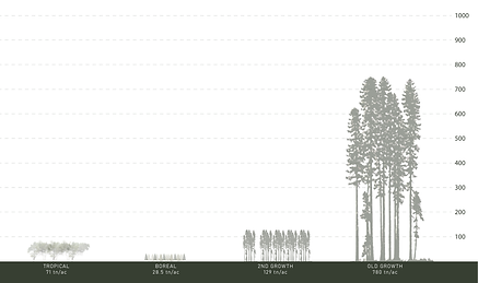 02_Carbon Sequestration.png