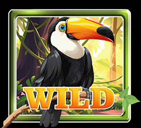 tucano slot animation