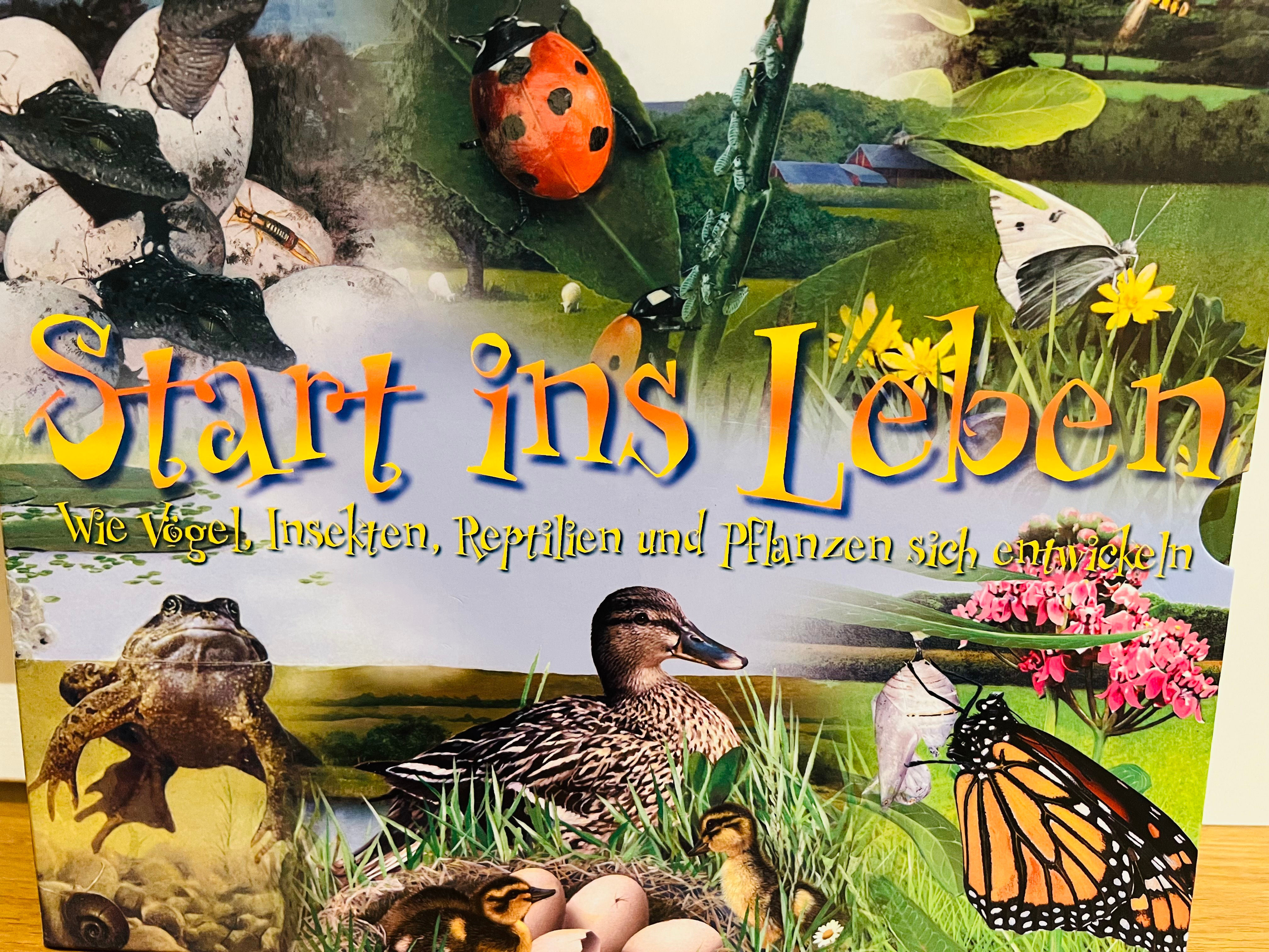 Start ins Leben - Wie Vögel, Insekten, Reptilien und Pflanzen sich entwickeln