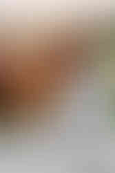 Dover Hall Wedding Cocktail Hour