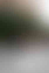 First Look at Dover Hall