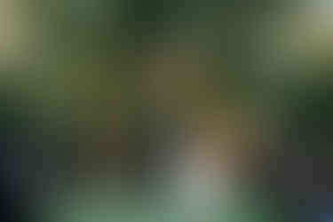 Dover Hall Garden Wedding Ceremony