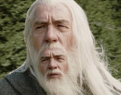 Gandalf-the-Grey-Moustair-by-