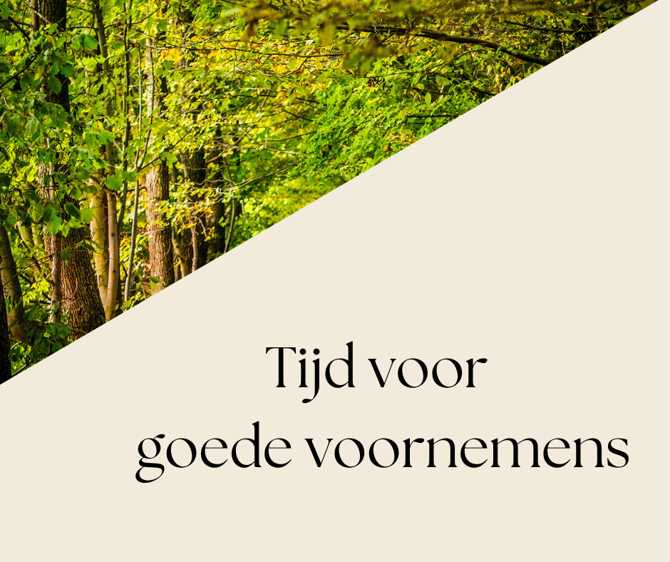 Tijd voor goede voornemens - boslandschap