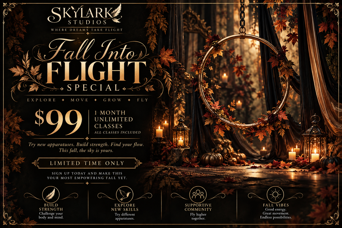 Skylark Studios