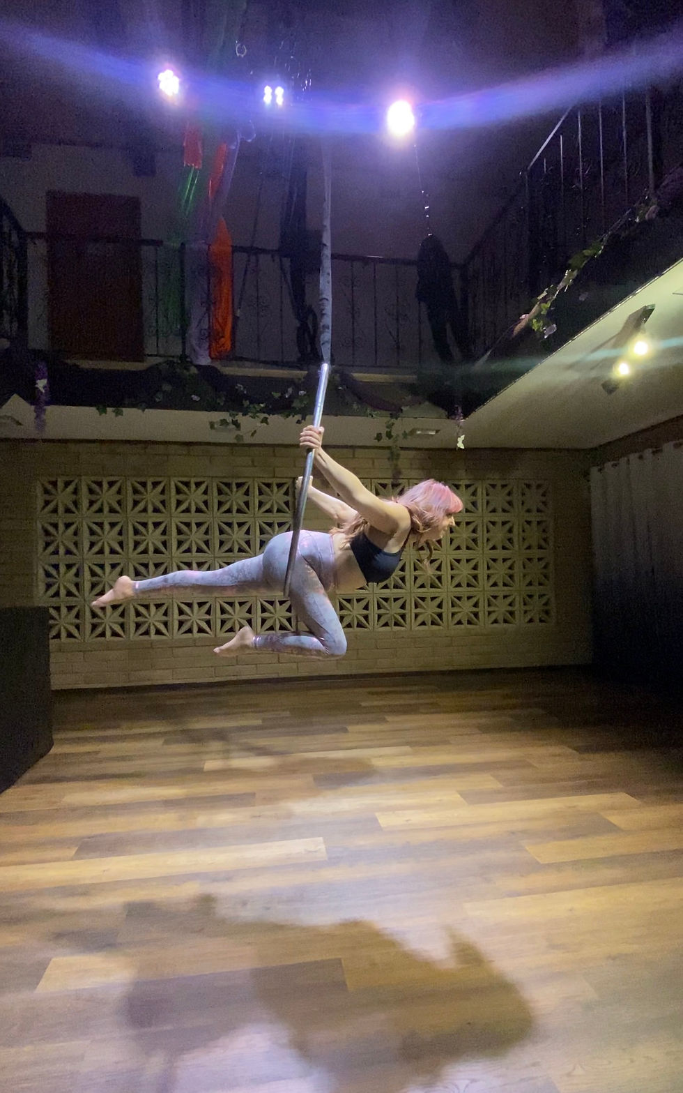 Horse pose variation