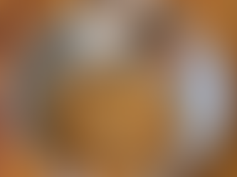 An Indian Winter Guide