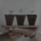 Follow the growth of your investments with this selection of stocks at Penta Trading