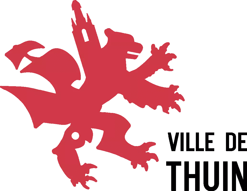 Logo Ville de Thuin