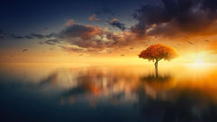 How have you found your own light?