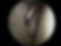 images.jpg