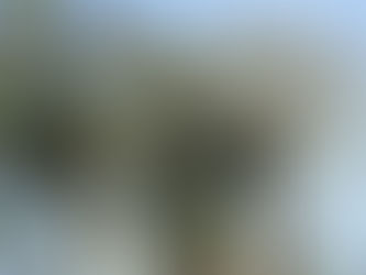 Um dente de leão gigante?