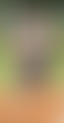 Local high school softball teams are ready to launch 2024 campaigns