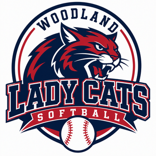 Hot bats lead Trion past Woodland