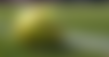 Adairsville softball wins one at tourney