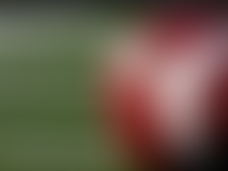 Local gridiron standouts tabbed with AJC All-State honors