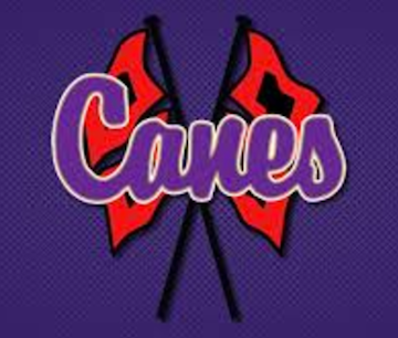Lady Canes volleyball sweeps Troup, Chapel Hill