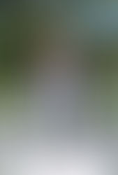 Woodland boys 4th, Cass girls 5th at Dalton Rotary Invitational; Lady Cats and Colonels place 9th