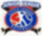 Bartow County Junior Little League team advances at state tournament