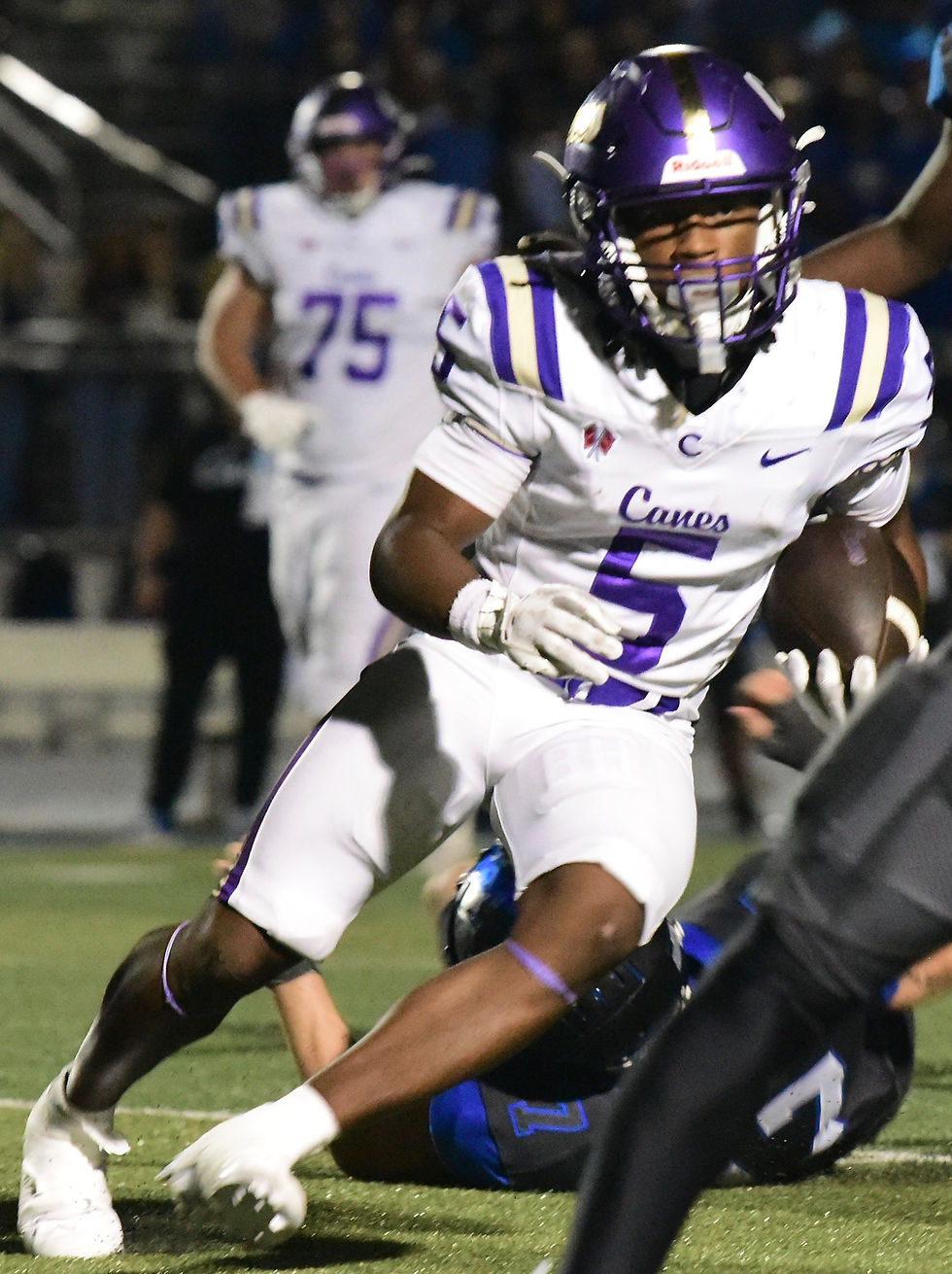 Cartersville's Braylon Hill pulls in a touchdown pass in the Canes' game at Cass Oct. 3. Randy Parker / DTN