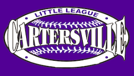 Cartersville Little League 10U and 11U suffer first state tourney losses