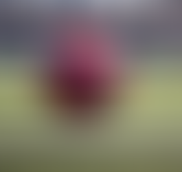 Woodland soccer sweeps to wins over Cedartown, Adairsville girls blank Dragons