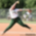 O'Neal, Rhoades combine for no-hitter in Tigers' win over North Murray