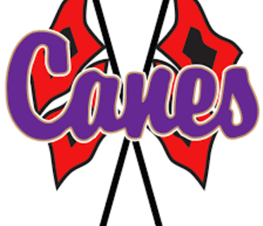 Cartersville soccer teams open region play with home victories