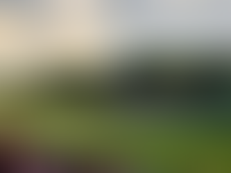 Woodland, Cartersville, Cass take scrimmage wins