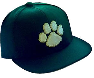 Adairsville drops series opener to Ringgold