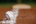 Cartersville 12U cruises into second round at state Little League tourney