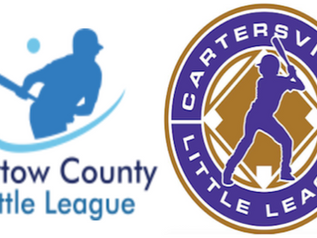 State tournaments begin Saturday for local Little League softball and baseball all-star teams