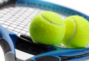 Lady Canes fall in state quarterfinals