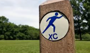 XC results for Canes, Colonels, and Tigers