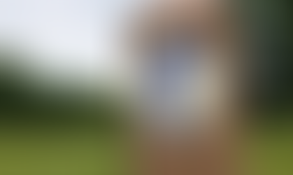 XC results for Canes, Colonels, and Tigers