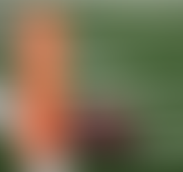 Canes, Colonels earn Top Ten spots in final football polls