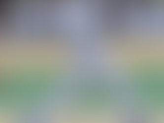 Collegiate softball and baseball Athletes Beyond Bartow update