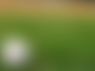 Adairsville falls at LFO