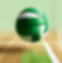Adairsville volleyball tournament results