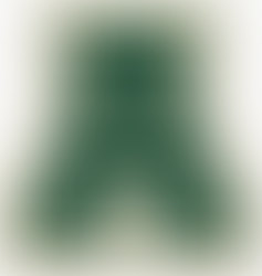 Lady Tigers dominate Douglass-Atlanta, advance to Sweet Sixteen