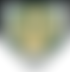 Tigers roar: Adairsville blasts Ridgeland with 11 runs, one-hitter in region rout