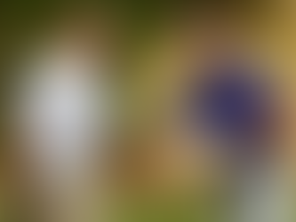 Branton falls to Chestnut in Round of 64 at USGA Mid-Amateur Championship