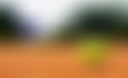 Cass and Adairsville softball teams suffer Tuesday region losses