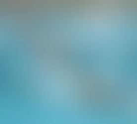 State finals results for local swimmers