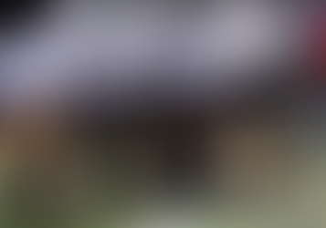 Hornets sting Wildcats, 42-7