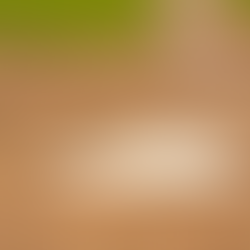 Friday's high school baseball roundup: Tigers and Canes complete region sweeps