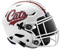 Woodland Wildcats helmet