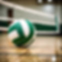 Adairsville volleyball team falls in first round of Region 7-AAA tournament