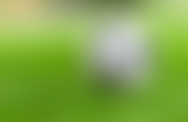 Woodland soccer splits home matches with North Cobb