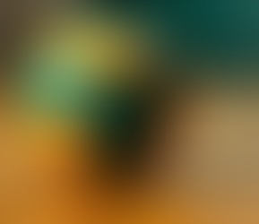 Sonoraville wins Adairsville volleyball’s Welcome to the Jungle Tourney